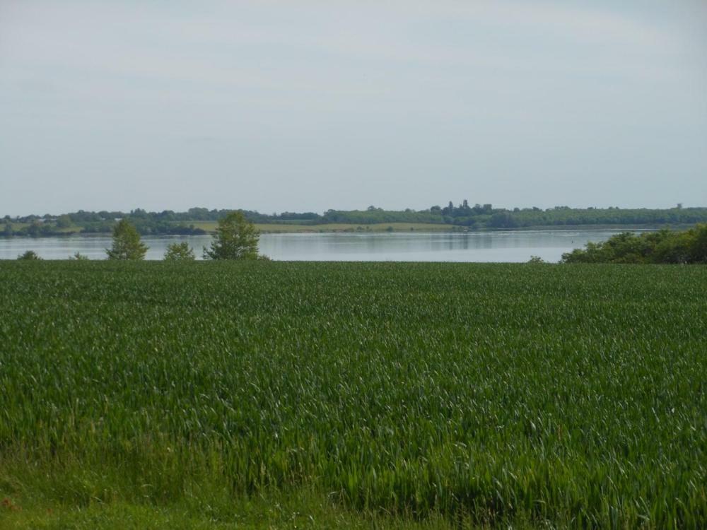 Water * Grafham
